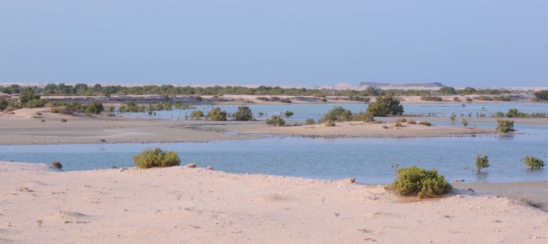 ������ʱ��(�й���)�������ǲ�!