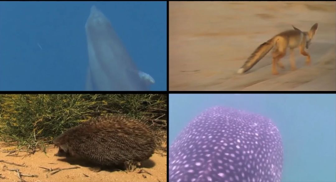 ������ʱ��(�й���)�������ǲ�!