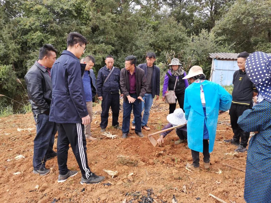 ������ʱ��(�й���)�������ǲ�!