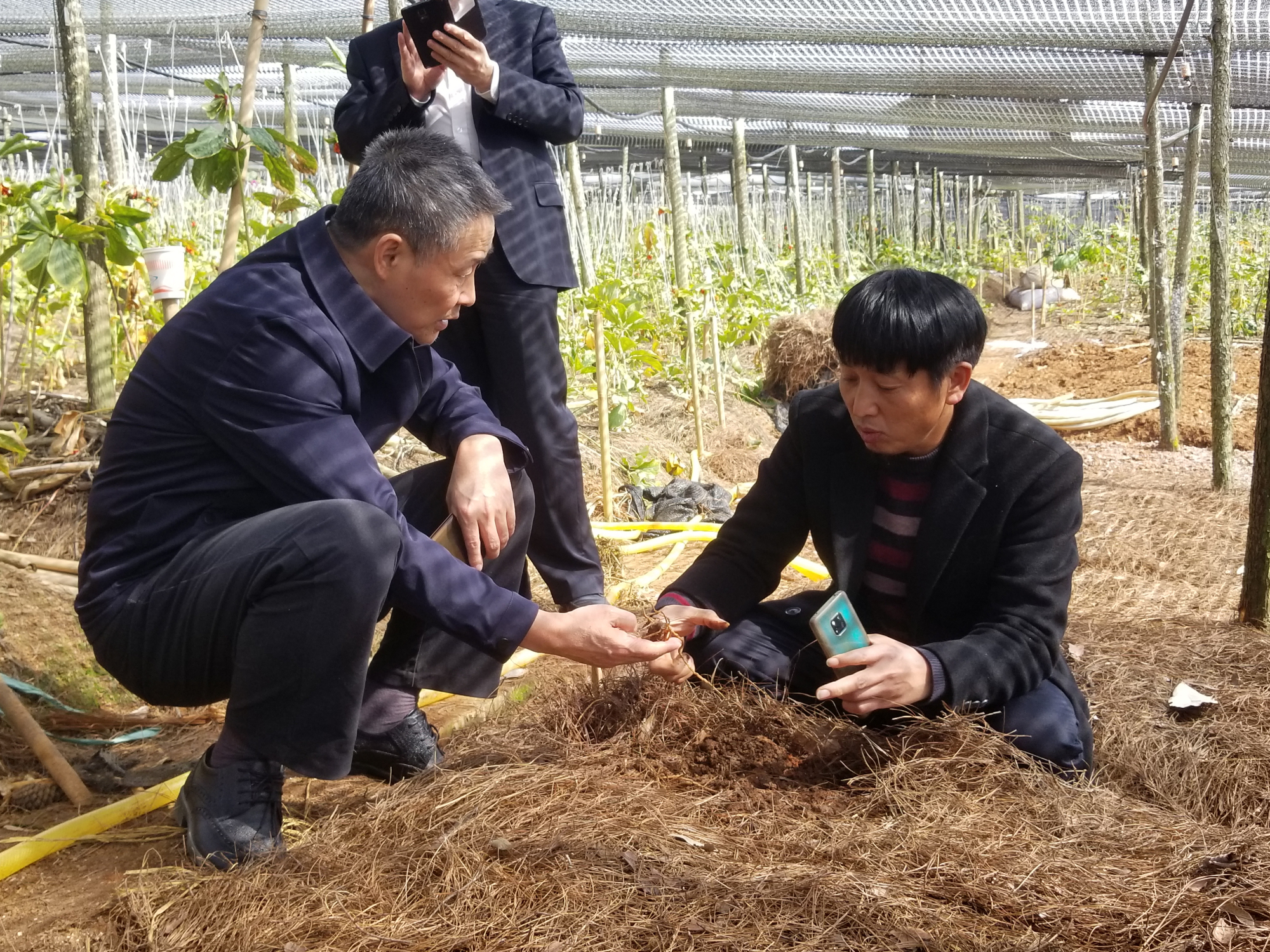 ������ʱ��(�й���)�������ǲ�!