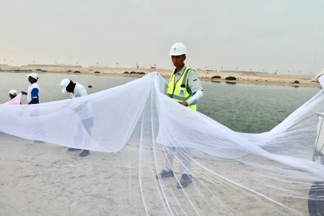 ������ʱ��(�й���)�������ǲ�!